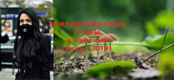 эйфоретик Медногорск