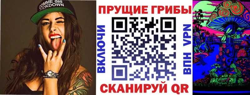 магазин продажи   hydra онион  Псилоцибиновые грибы GOLDEN TEACHER  Чкаловск 